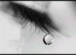صدف-16